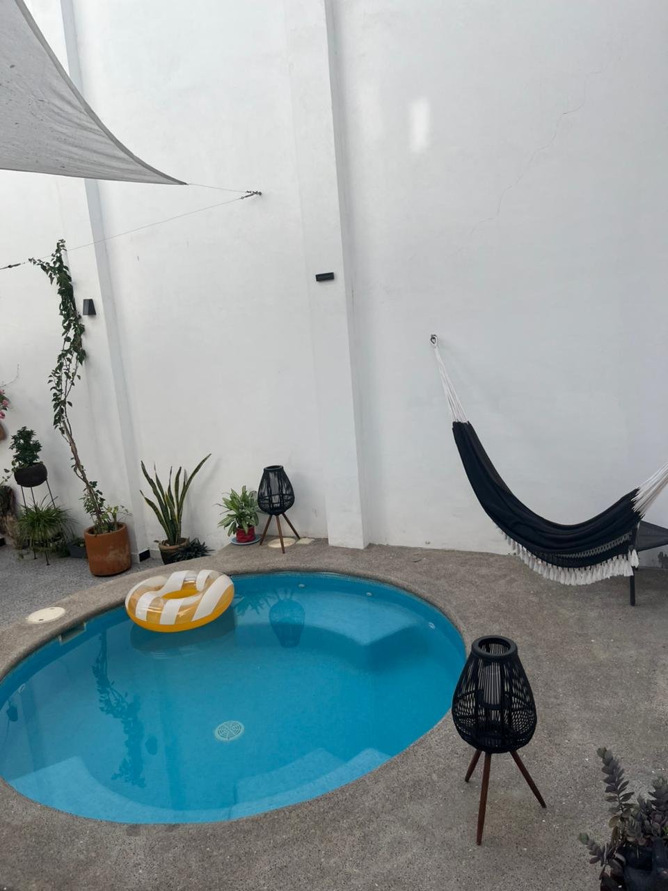 whatsapp image 2026 01 15 at 12.42.19 pmkjbklb